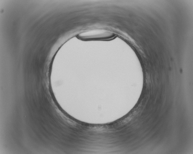 X0000079321512200612151804