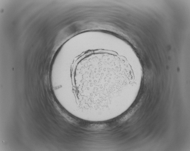 X0000079321513200612151804