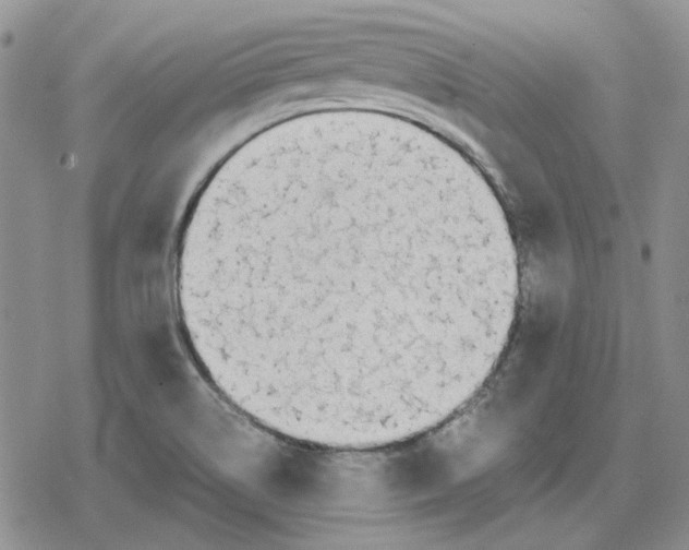 X0000079321514200612151804