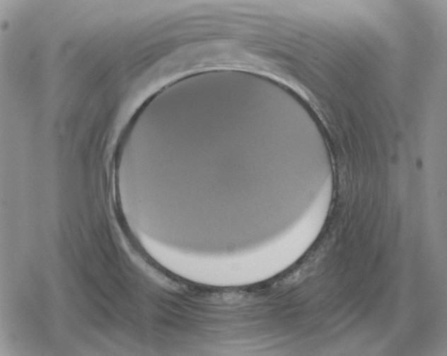 X0000079321515200612151804