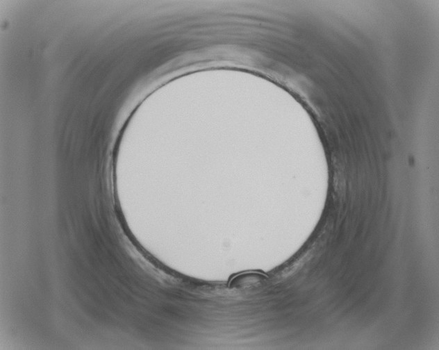 X0000079321516200612151804