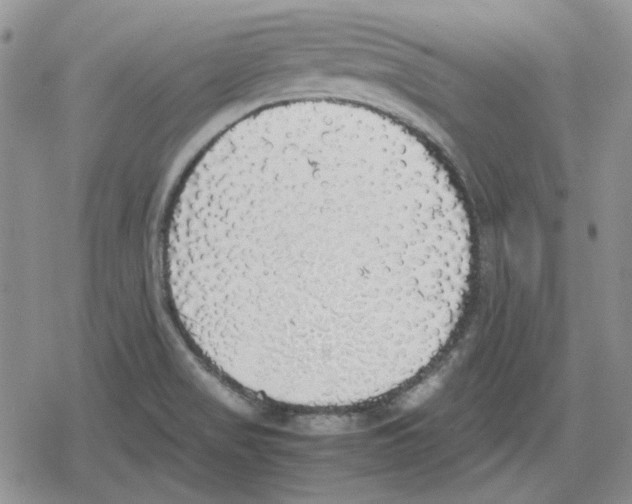 X0000079321517200612151804