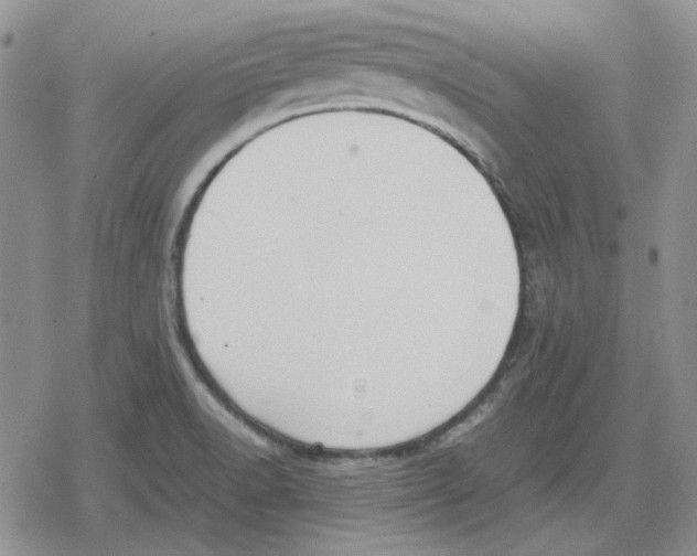 X0000079321518200612151804