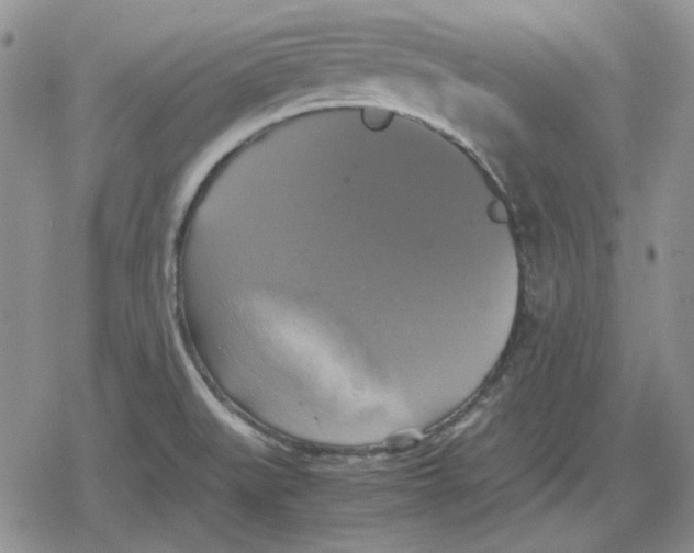 X0000079321519200612151804