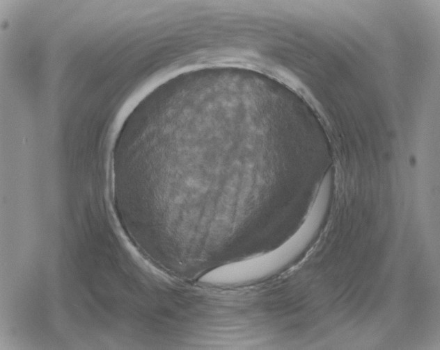 X0000079321520200612151804