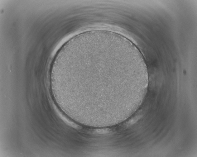 X0000079321523200612151804