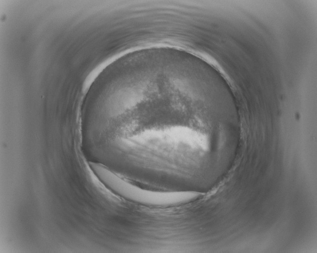 X0000079321524200612151804