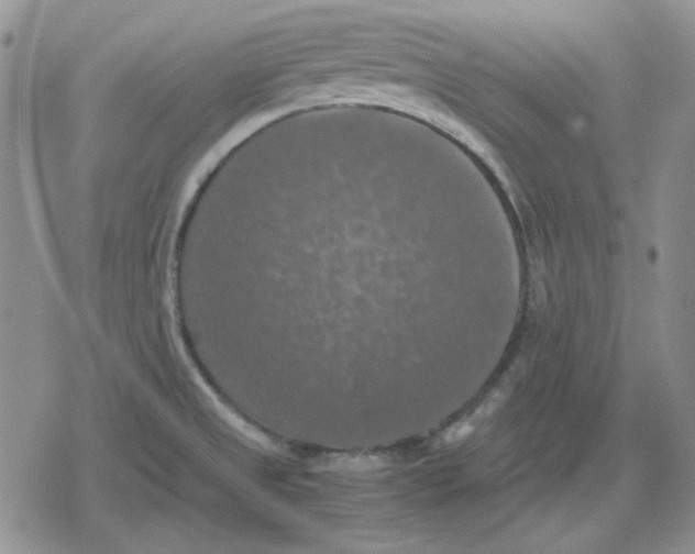 X0000079321525200612151804