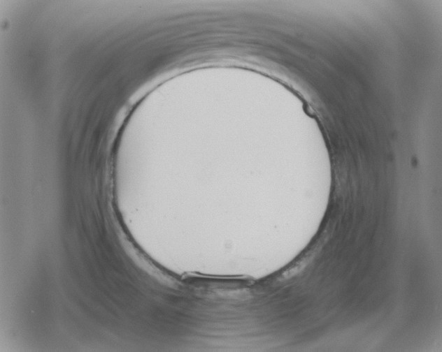 X0000079321526200612151804