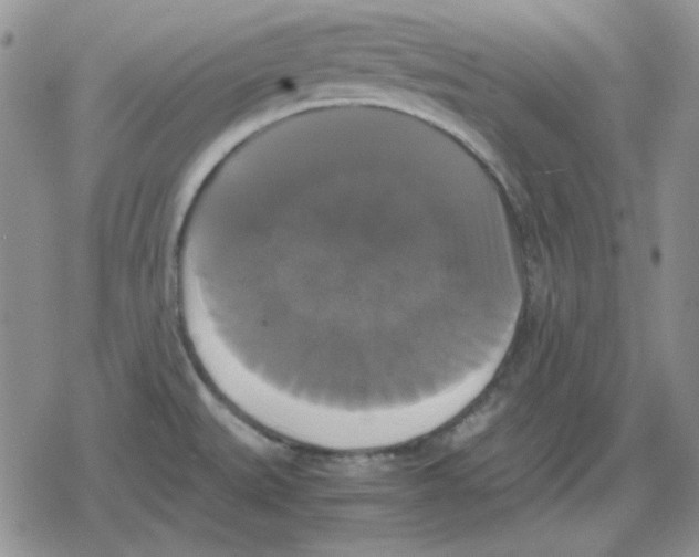 X0000079321527200612151804