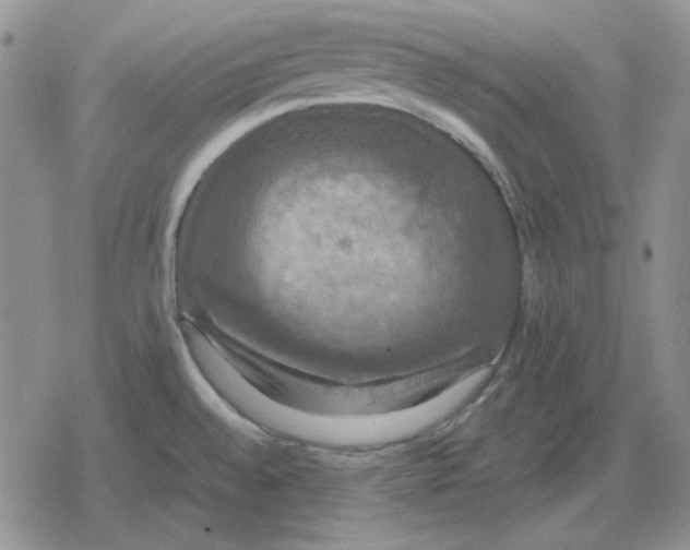 X0000079321528200612151804