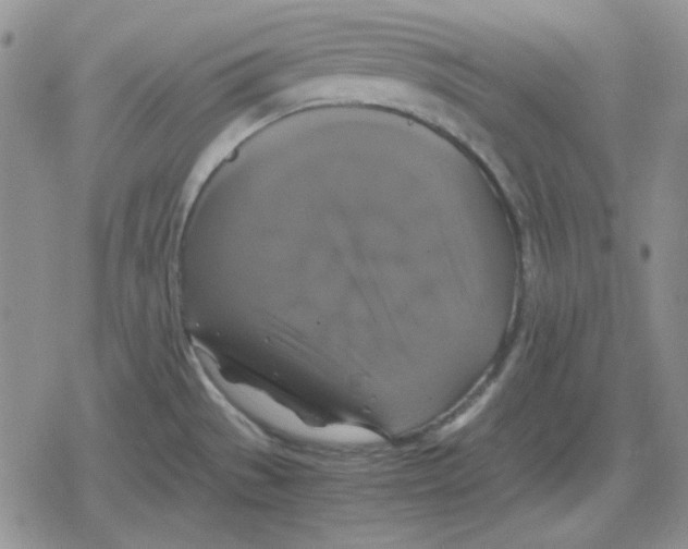 X0000079321529200612151804