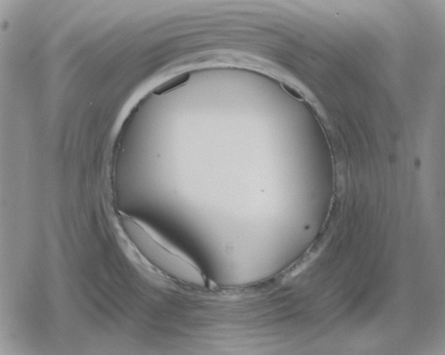 X0000079321530200612151804