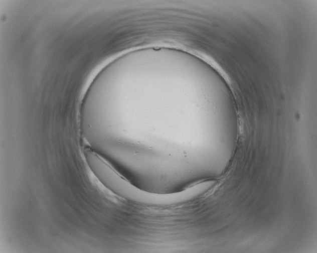 X0000079321532200612151804