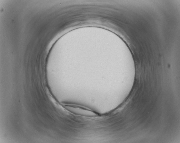 X0000079321534200612151804