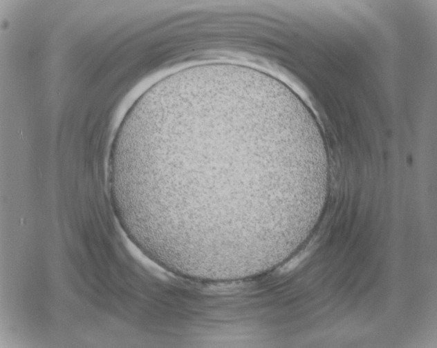 X0000079321535200612151804