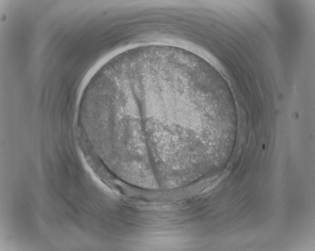 X0000079321536200612151804