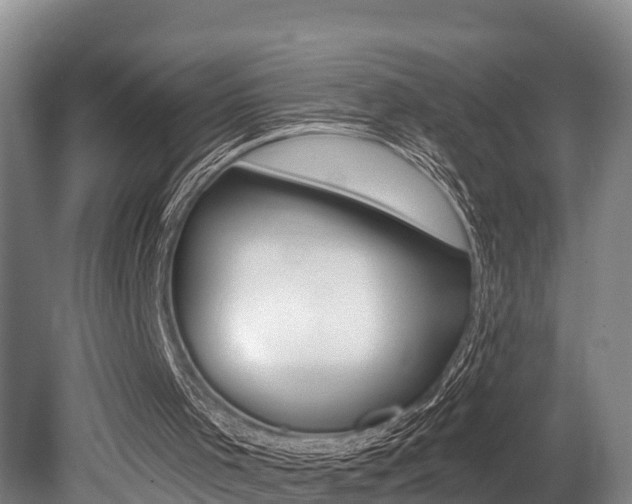X0000079330001200611171008