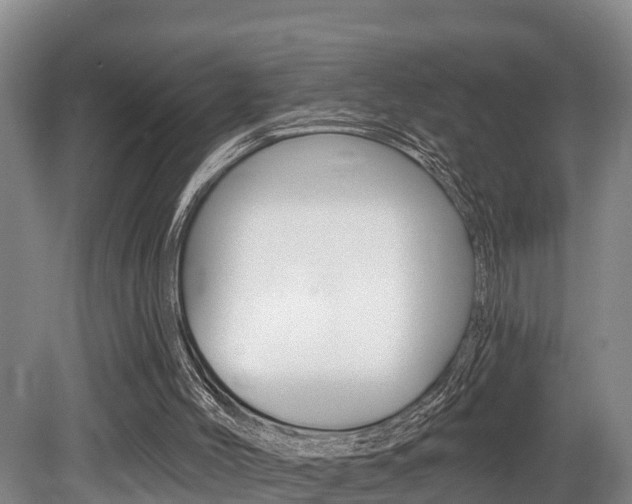 X0000079330004200611171008