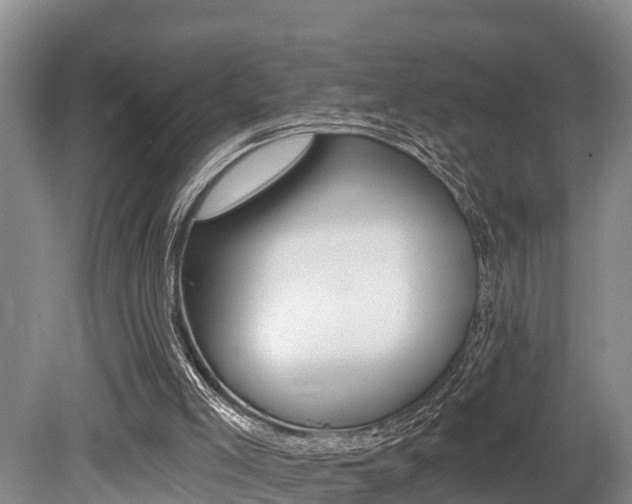 X0000079330005200611171008