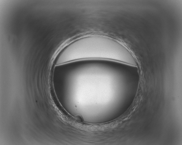 X0000079330007200611171008