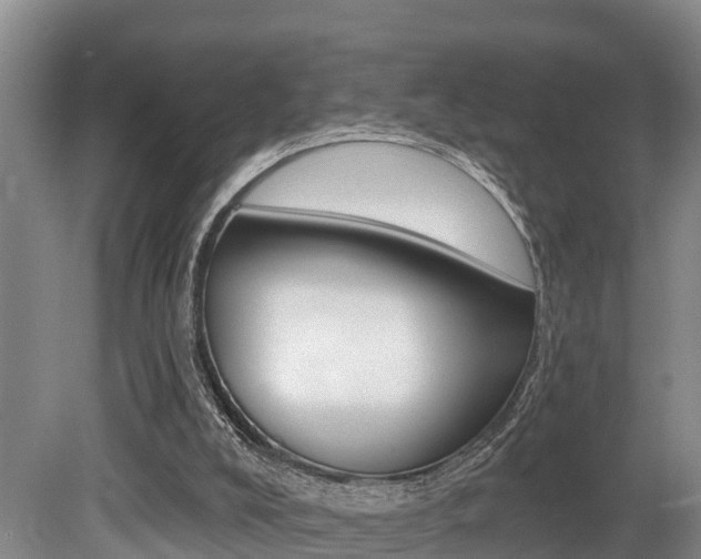 X0000079330008200611171008