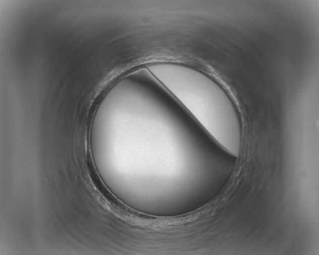 X0000079330011200611171008