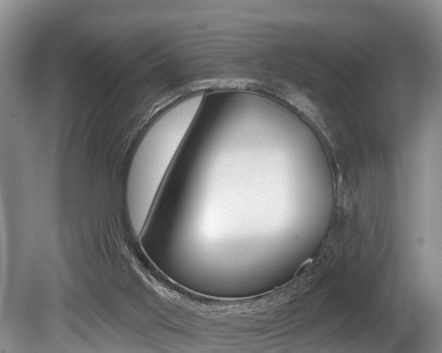 X0000079330013200611171008