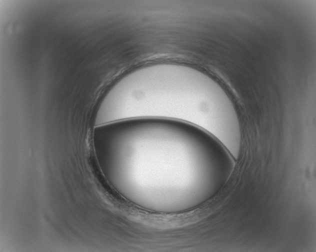 X0000079330023200611171008