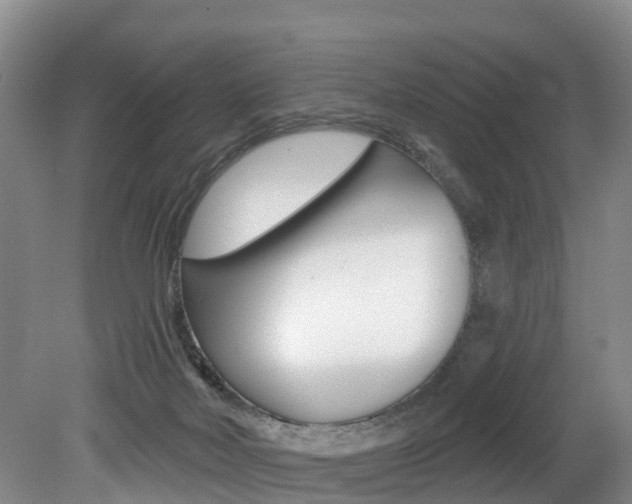 X0000079330026200611171008