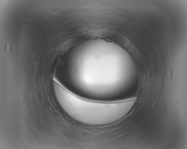 X0000079330029200611171008