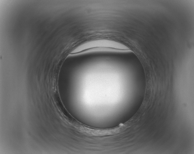 X0000079330031200611171008