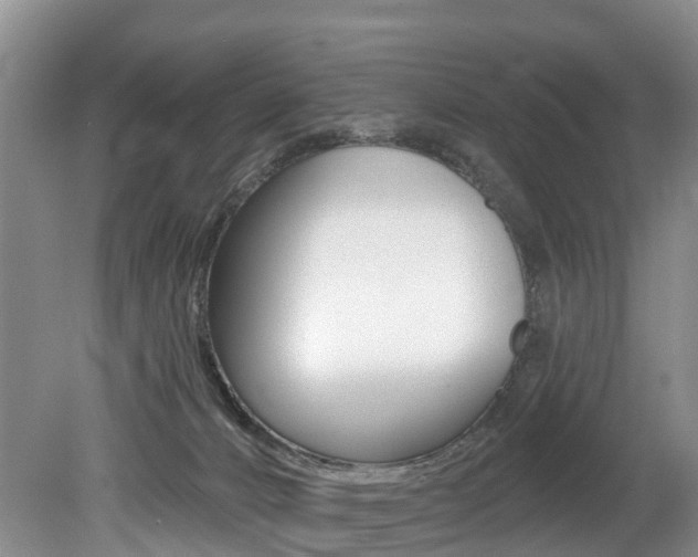 X0000079330032200611171008