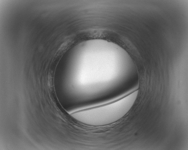 X0000079330035200611171008