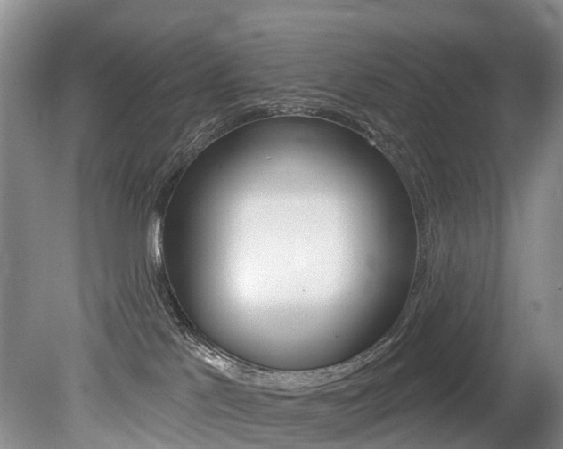 X0000079330041200611171007