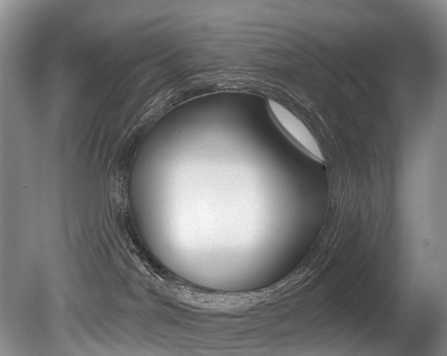 X0000079330044200611171007