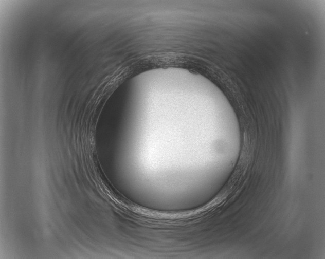 X0000079330048200611171007