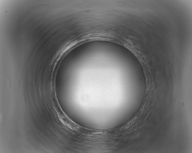 X0000079330050200611171007