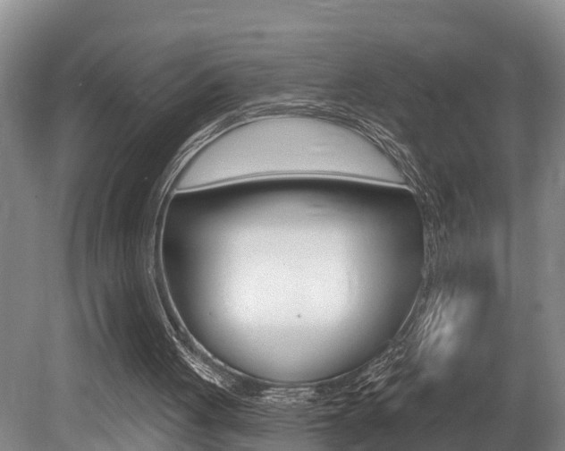 X0000079330051200611171007
