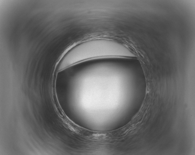 X0000079330052200611171007