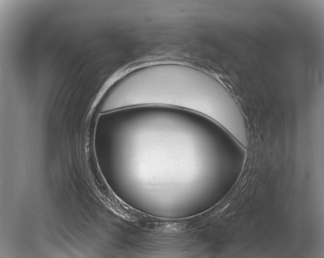 X0000079330056200611171007