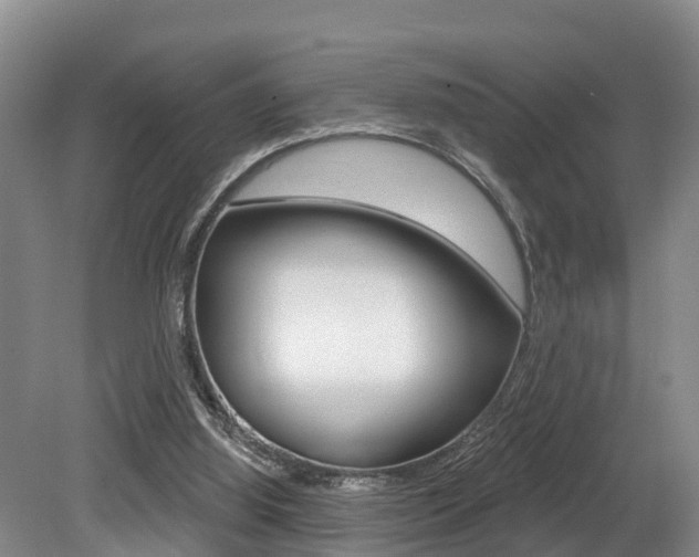 X0000079330060200611171007