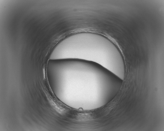 X0000079330061200611171007