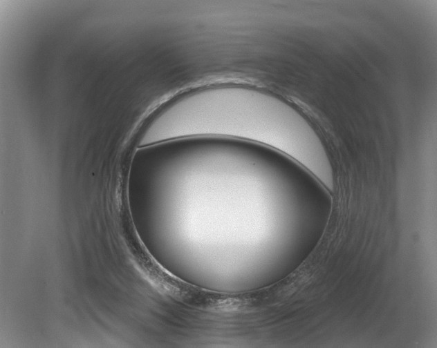 X0000079330064200611171007
