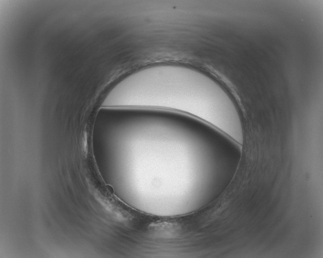 X0000079330067200611171007