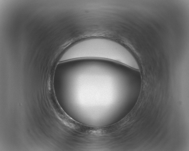 X0000079330068200611171007