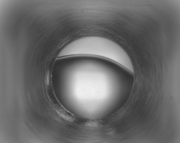 X0000079330076200611171007