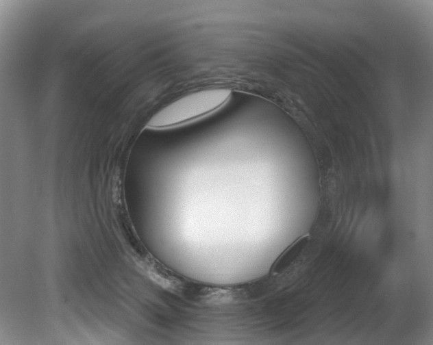 X0000079330083200611171007