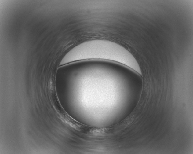 X0000079330084200611171007