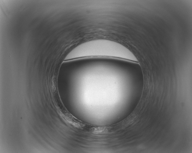 X0000079330088200611171007